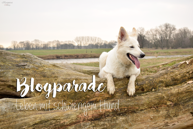 Blogparade-SchwierigerHund-1 %Hundeblog